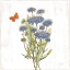Picture of WHITE BARN FLOWERS IX SQ
