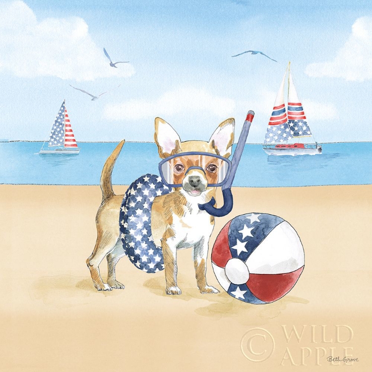 Picture of SUMMER PAWS PATRIOTIC II