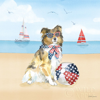 Picture of SUMMER PAWS PATRIOTIC V
