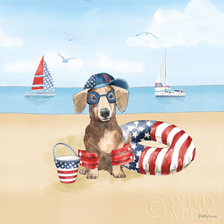 Picture of SUMMER PAWS PATRIOTIC III