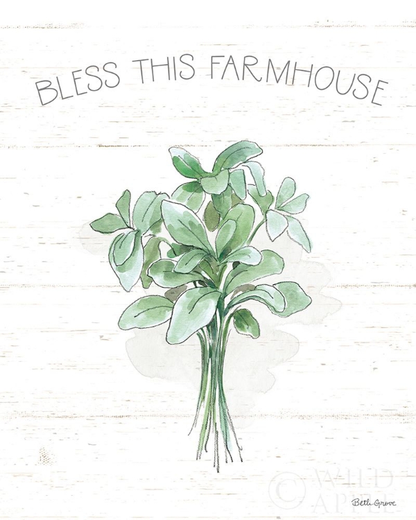 Picture of FARMHOUSE COTTON VI SAGE