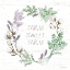 Picture of FARMHOUSE COTTON VIII SAGE