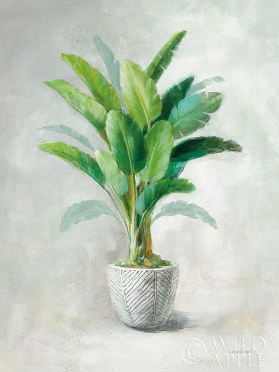 Picture of GREENHOUSE PALM II