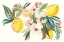 Picture of CITRUS SUMMER I