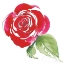 Picture of BOLD ROSES III