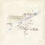 Picture of MUSICAL GIFT V