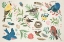 Picture of BIRD STUDY I