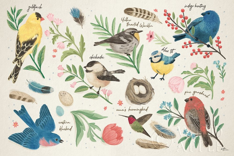 Picture of BIRD STUDY I