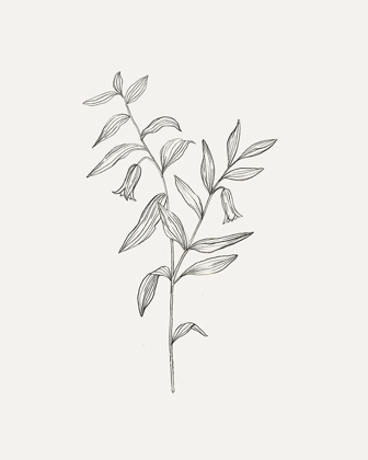 Picture of WILD FOLIAGE SKETCH IV