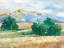 Picture of SUNNY FIELD II