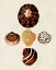 Picture of KNORR SHELLS V