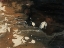 Picture of DARK FLOW II