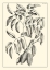 Picture of NON-EMBELLISHED ANTIQUE FOLIAGE III