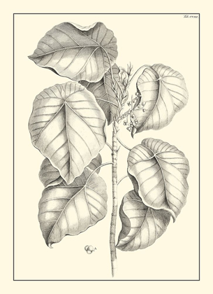 Picture of NON-EMBELLISHED ANTIQUE FOLIAGE IV