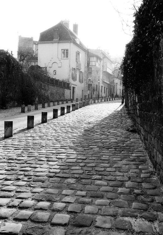 Picture of PARISIAN WALKWAY II