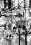 Picture of NOTRE DAME CATHEDRAL II