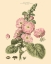 Picture of BLUSHING PINK FLORALS V