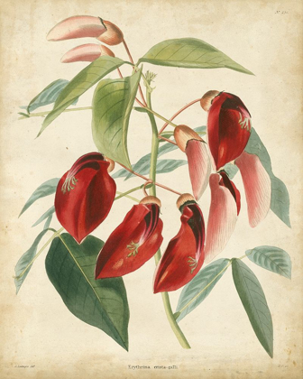 Picture of TROPICAL FLORAL I
