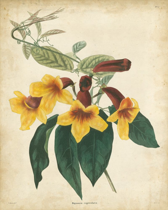 Picture of TROPICAL FLORAL VI