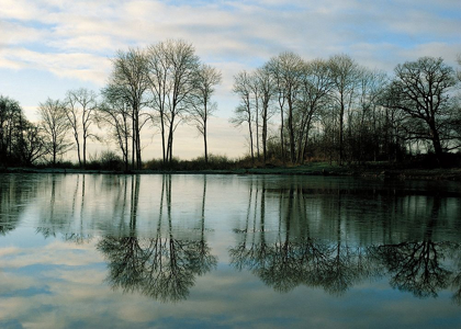 Picture of FROZEN REFLECTION