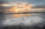 Picture of PALE SUNRISE