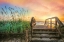 Picture of WALK INTO SUNRISE