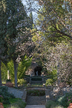 Picture of ITALIAN GARDEN II