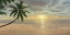 Picture of BEACH BLISS