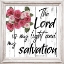 Picture of MY SALVATION