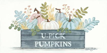 Picture of U-PICK PUMPKINS