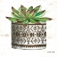 Picture of MUD CLOTH VASE VI   
