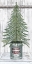Picture of GALVANIZED POT FIR