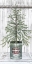 Picture of GALVANIZED POT PINE