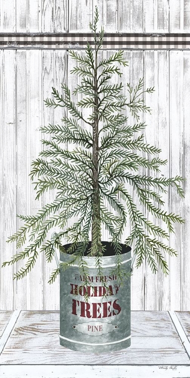 Picture of GALVANIZED POT PINE