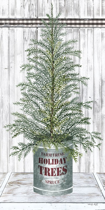 Picture of GALVANIZED POT SPRUCE