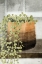 Picture of STRING OF PEARLS I