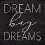 Picture of DREAM BIG DREAMS