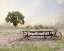 Picture of FLOWER WAGON AT SUNSET  