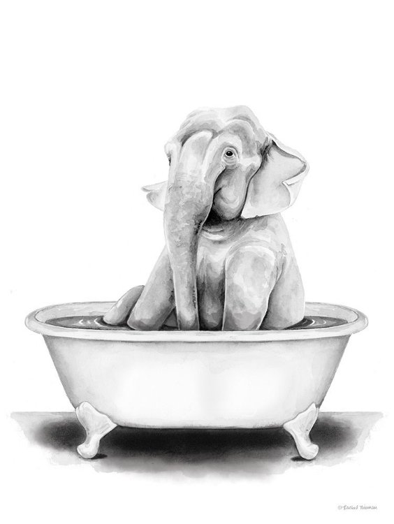 Picture of ELEPHANT IN TUB