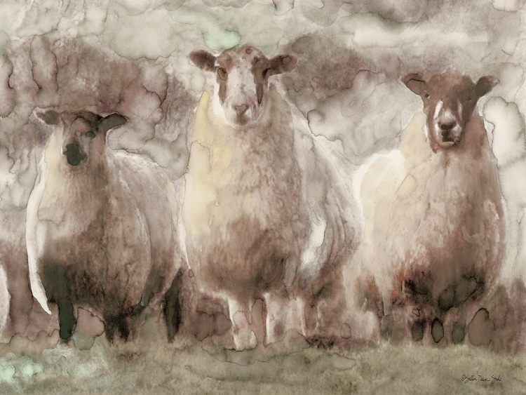Picture of THREE SHEEP