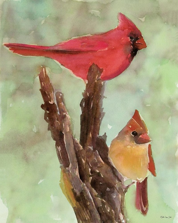Picture of CARDINAL 1