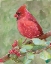 Picture of CARDINAL 2