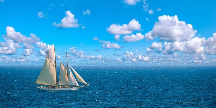 Picture of OCEAN SAILING