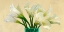 Picture of WHITE CALLAS IN A GLASS VASE (DETAIL)