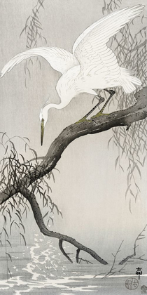 Picture of WHITE HERON ON TREE BRANCH