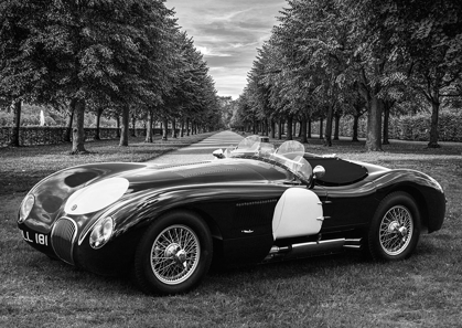 Picture of VINTAGE ROADSTER IN A PARK