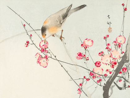Picture of SONGBIRD ON BLOSSOM BRANCH