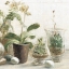 Picture of GREENHOUSE ORCHIDS ON SHIPLAP III