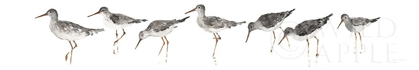 Picture of SANDPIPERS PANEL GRAY