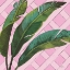 Picture of WELCOME TO PARADISE XI ON PINK